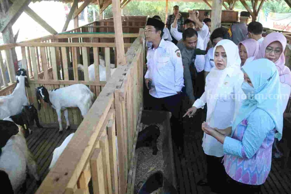 Kelompok Tani di Mojokerto Terima Bantuan&nbsp;Kambing